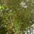100_1252.small