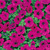 Petunias: Petunia x 'Original Wave® Purple'