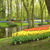 Day_2_keukenhof_14_.small