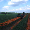 Day_3_noord_oost_polder_12_