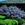 Screeners_wisteria_sinensis-1.sprite