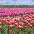 Business_card_jeroen.small