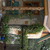 1%20carolyn's%20shed.small