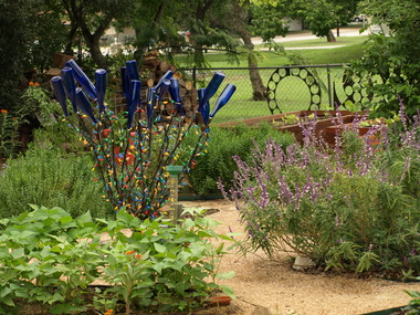 3%20beans,%20rosemary,%20bottle%20tree,%20sage.detail