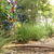 3%20butterfly%20iris,%20bridge%20and%20bottle%20tree.small