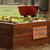 3%20raised%20bed.small