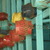 4%20lanterns.small