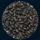 pole bean