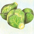 brussels sprouts