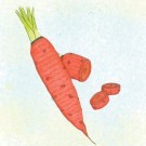 carrot