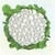 Snowball-self-blanching-cauliflower.small