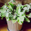 Cut Flowers & Flower Arranging