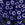 Cineraria: Pericallis x hybrida 'Jester® Blue Bicolor'