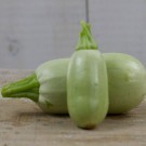 zucchini