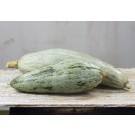 winter squash