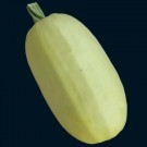 winter squash