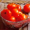 Tomatoes_page1