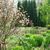 Chanticleer's_ponds06.small