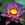 Tropical Water Lilies: Nymphaea 'Panama Pacific'