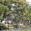 Sdc10642.thumb